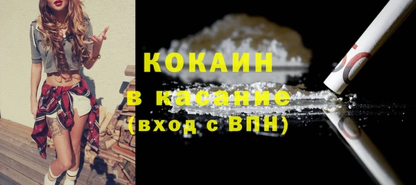 хмурый Белокуриха