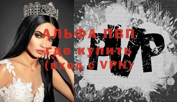 хмурый Белокуриха