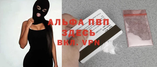 хмурый Белокуриха