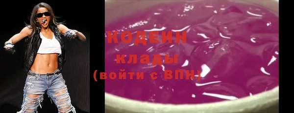 хмурый Белокуриха