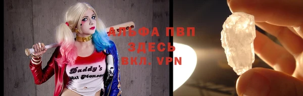 хмурый Белокуриха