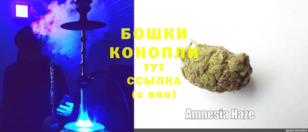 хмурый Белокуриха